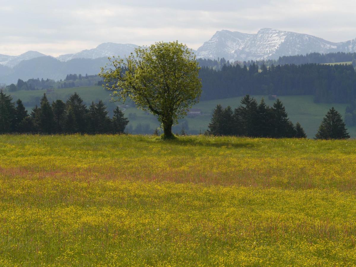 Hotel Post - Regionales Grosses Fruehstuecksbuffet - Auch Gf & Lf Scheidegg Eksteriør billede