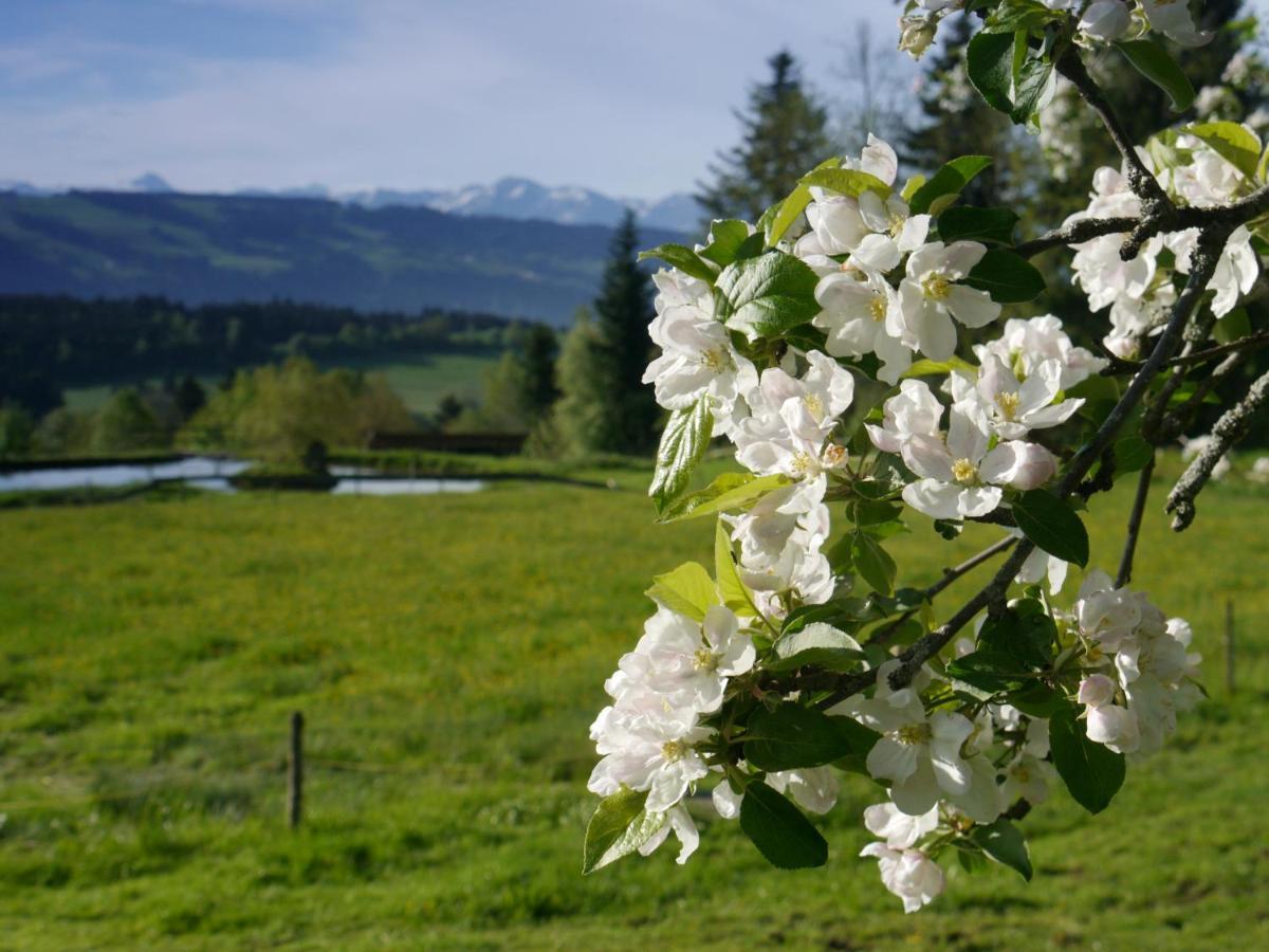 Hotel Post - Regionales Grosses Fruehstuecksbuffet - Auch Gf & Lf Scheidegg Eksteriør billede