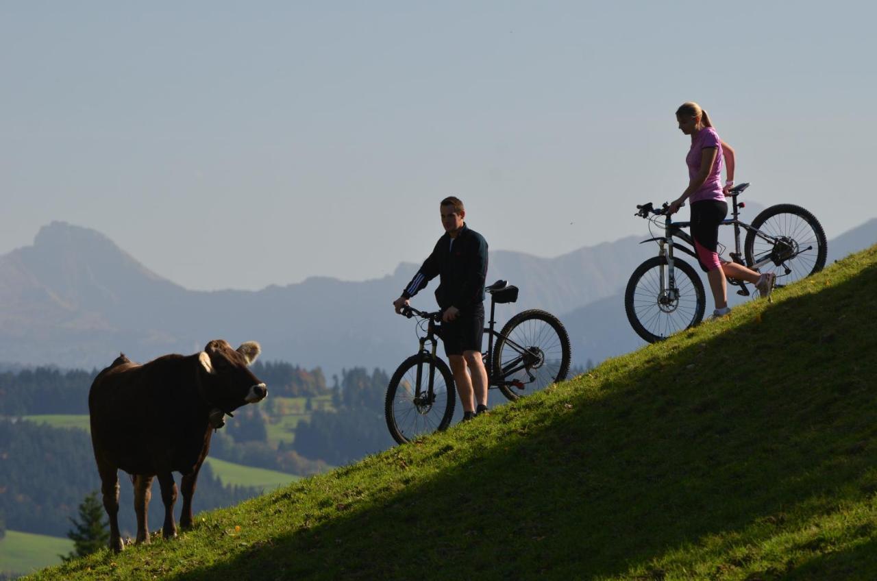Hotel Post - Regionales Grosses Fruehstuecksbuffet - Auch Gf & Lf Scheidegg Eksteriør billede
